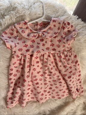 Magnetic Me Pink Floral Peter Pan Collar Dress